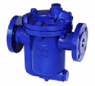 Steam Trap