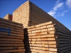 Wood Kiln Dryer